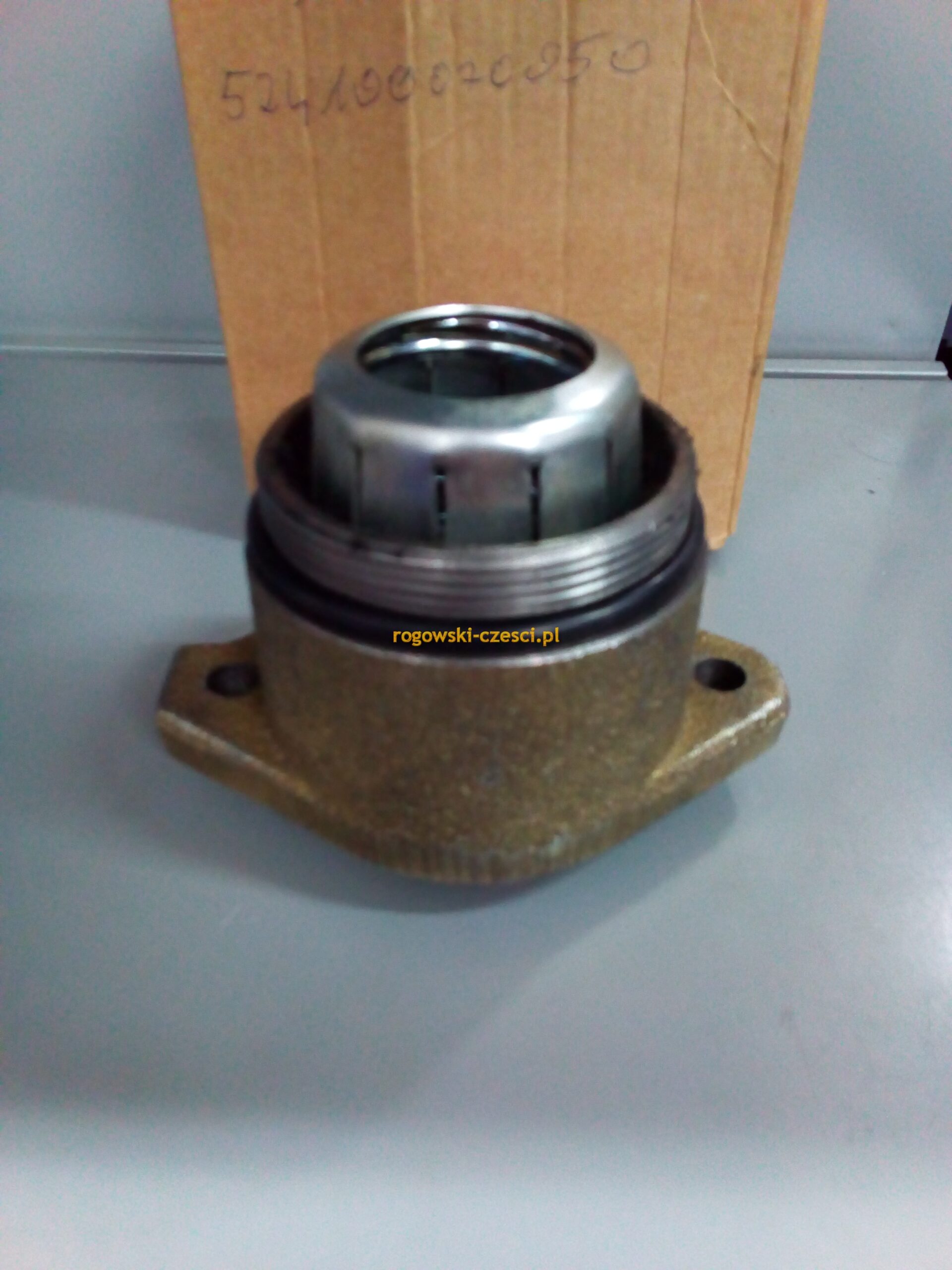 Cylinderek hamulcowy Fendt G524100070050